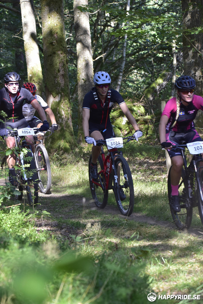 Bild från Bockstensturen 2019